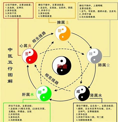 白色 五行 金|易经中的五行对应颜色